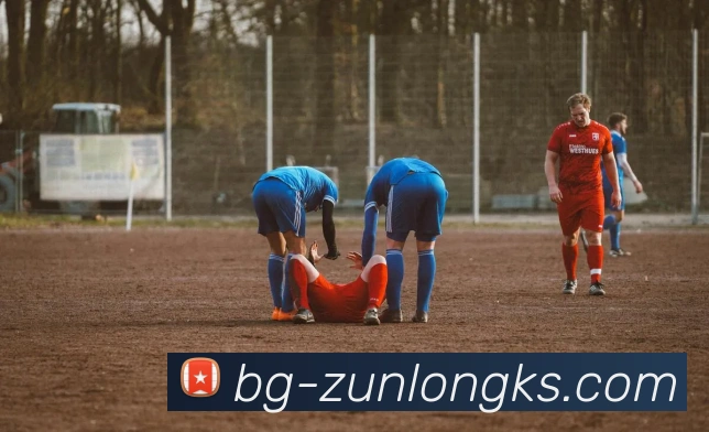 App Interface Preview