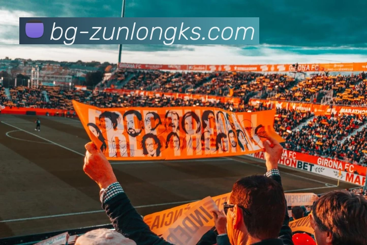 365体育官网APP 封面图